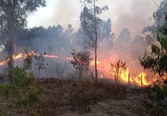 Notícia - Incêndio atinge aproximadamente 25 mil m² de área de vegetação