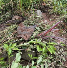 Notícia - Bombeiros encontram pertences de idoso desaparecido após chuvas em Praia Grande