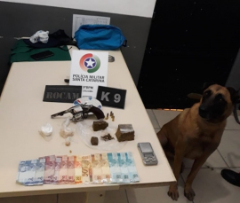 Notícia - Cachorro da Polícia Militar ajuda a localizar arma, drogas e dinheiro