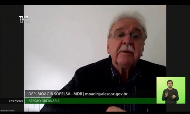 Notícia - Deputado sugere aproveitamento de árvores derrubadas por temporal