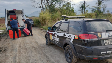 Notícia - Polícia Civil investiga abandono e maus-tratos a 17 cães em Nova Veneza