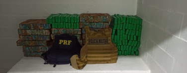 Notícia - Polícia apreende 250kg de maconha na BR-101