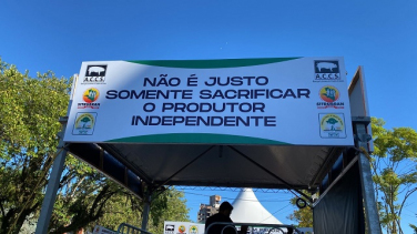 Notícia - Crise na suinocultura: mais de 1,4 mil propriedades estão falindo