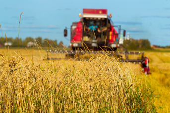 Notícia - Retrospectiva: Um ano desafiador para a agricultura catarinense 