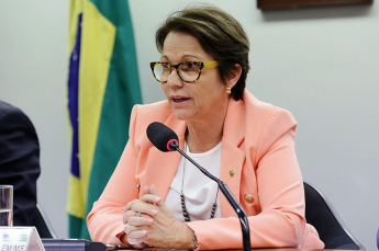 Notícia - Não há notícia de falta de alimentos, diz ministra