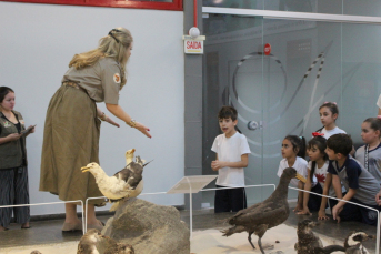 Notícia - Novos vídeos educativos são presentes do Museu de Zoologia da Unesc