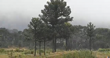 Notícia - A neve chegou na Serra Catarinense (VÍDEO)