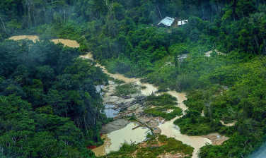 Notícia - Greenpeace Brasil encontra 176 escavadeiras em terras Yanomami