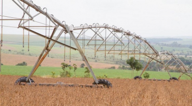 Notícia - Produção de grãos do país na safra 2019/2020 deverá ser recorde