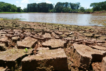 Notícia - Epagri divulga manejos recomendados para diminuir prejuízos nos cultivos