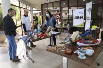 Notícia - Semana do Meio Ambiente: secretarias promovem carona solidária e ações sustentáveis