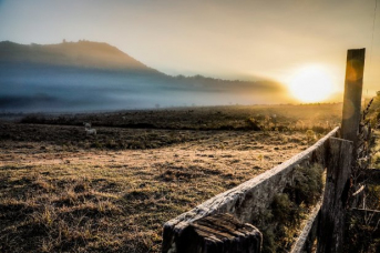 Notícia - Santa Catarina registra a menor temperatura do ano nesta terça-feira