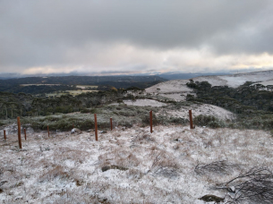 Notícia - Serra Catarinense registra neve durante a madrugada (FOTOS E VÍDEO)