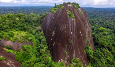 Notícia - 7 curiosidades sobre o Suriname