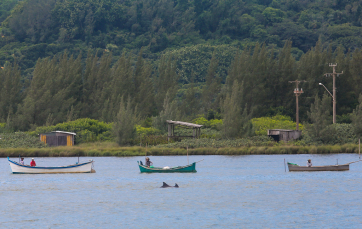 Notícia - Estado anuncia R$ 28 milhões para a pesca