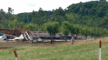 Notícia - Secretaria cria programas de apoio para produtores rurais atingidos tornados e ciclones