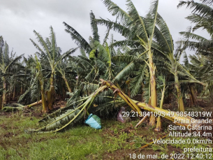 Notícia - Praia Grande: danos na agricultura ultrapassam R$ 5 milhões 