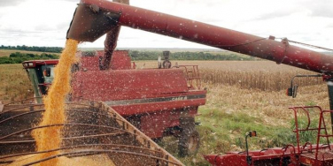 Notícia - Produção agrícola garante abastecimento do país em meio à pandemia