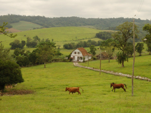 Notícia - 29 anos de fundação da Epagri