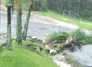 Notícia - Chuva volta a causar estragos no Sul de SC (VÍDEO)