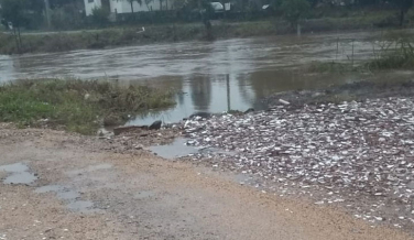 Notícia - Moradores do bairro Sangão preocupados com o nível do rio