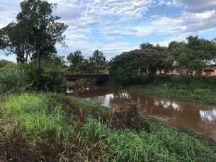 Notícia - Desassoreamento do Rio Sangão: Exigências do IMA podem levar até 40 dias para serem cumpridas