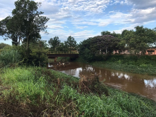 Notícia - Dessassoreamento do Rio Sangão depende da liberação do IMA