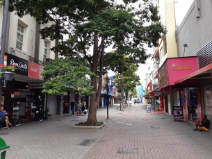 Notícia - Isolamento social em queda em Santa Catarina