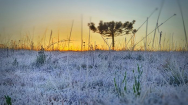 Notícia - Serra Catarinense tem mínima de -5,9°C