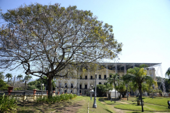 Notícia - Reconstrução do Museu Nacional entra em nova fase