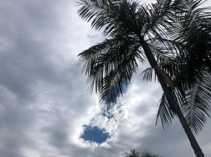 Notícia - Temperatura de domingo pode chegar aos 40ºC