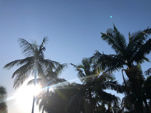 Notícia - Domingo de sol e calor pode contar com chuva no fim do dia