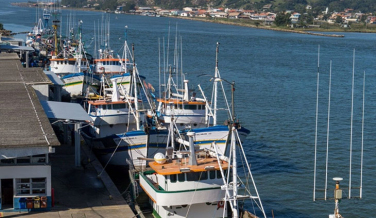 Notícia - Terminal Pesqueiro de Laguna será estadualizado hoje