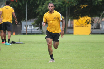 Notícia - Tigre realiza treino técnico e tático neste domingo