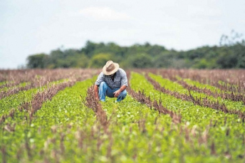 Notícia - Operação identifica trabalhadores com Covid-19 em propriedade rural