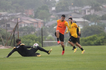 Notícia - Tigre: Primeira parte da pré-temporada termina nesta semana