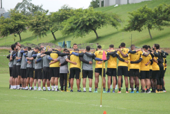 Notícia - Semana do Tigre começa com treinos em dois períodos