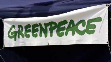 Notícia - Sustentabilidade nos negócios: Greenpeace marca presença no Empreende SC 2023