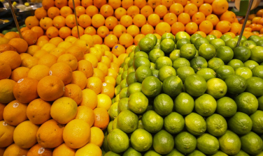 Notícia - Conab diz que frutas registram queda de preços