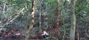 Notícia - Olhares que trazem novas perspectivas às belezas naturais de Criciúma