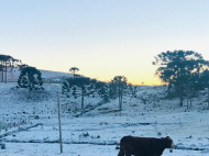 Foto: Otílio Paulo Miranda Pereira, em Bom Jardim da Serra