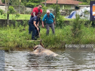 Foto: Divulgação/ Defesa Civil