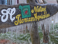 As árvores congeladas em São Joaquim / Foto: NotiSerraSC