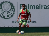 Foto: Cesar Greco/Palmeiras