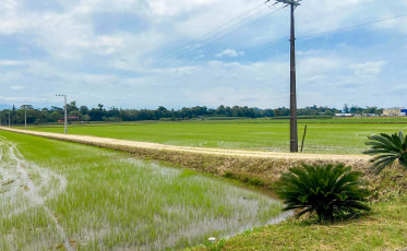 Prefeitura de Criciúma on X: Jogue limpo com a cidade! 🗑️♻️ O projeto  visa incentivar o cuidado com o meio ambiente e o criciumense pode ter  desconto de até 50% na taxa