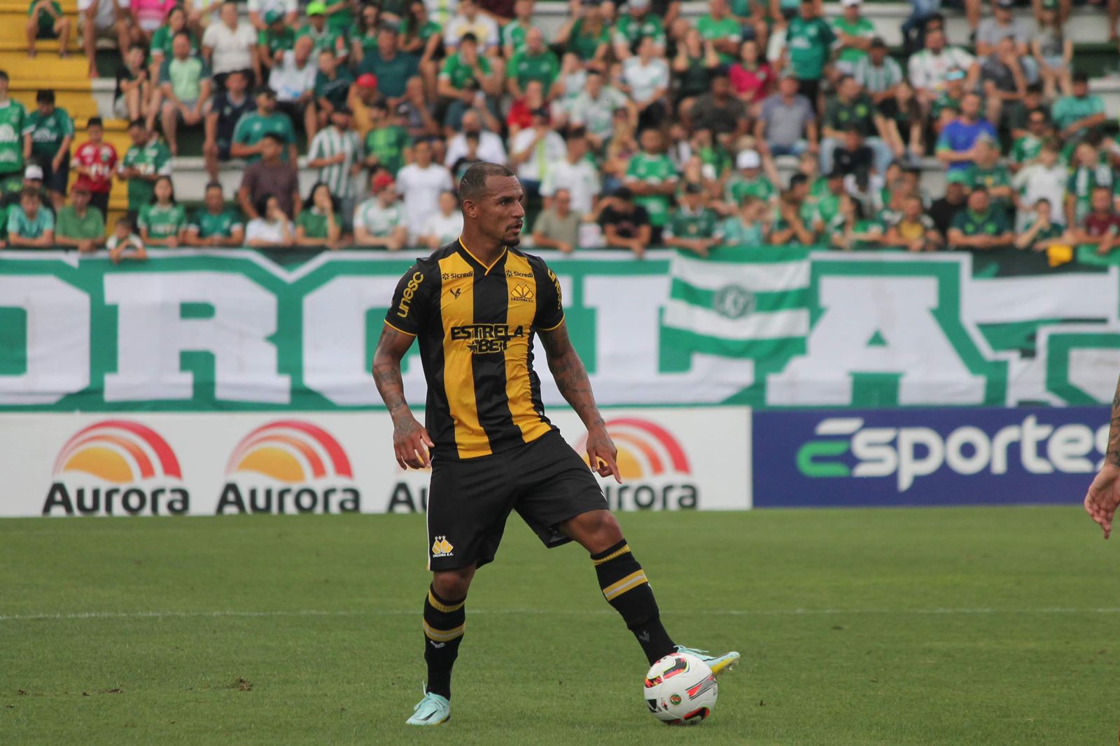 Criciúma 3 x 0 Botafogo/SP: nos últimos minutos, Tigre marca mais dois gols  e torcida vai à loucura - Esporte - 4oito